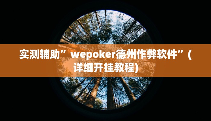 实测辅助”wepoker德州作弊软件”(详细开挂教程)