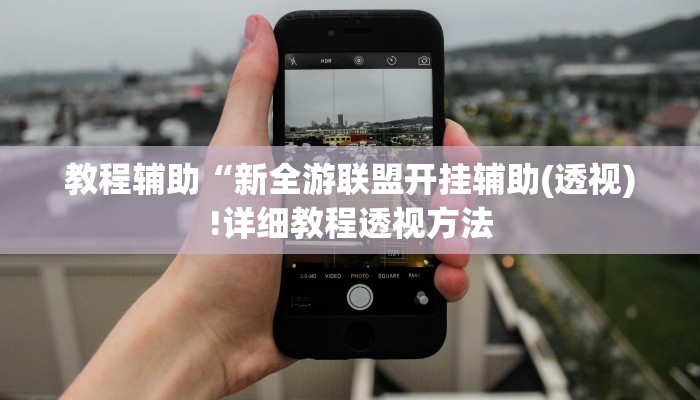 教程辅助“新全游联盟开挂辅助(透视)!详细教程透视方法