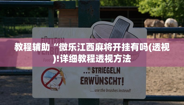 教程辅助“微乐江西麻将开挂有吗(透视)!详细教程透视方法