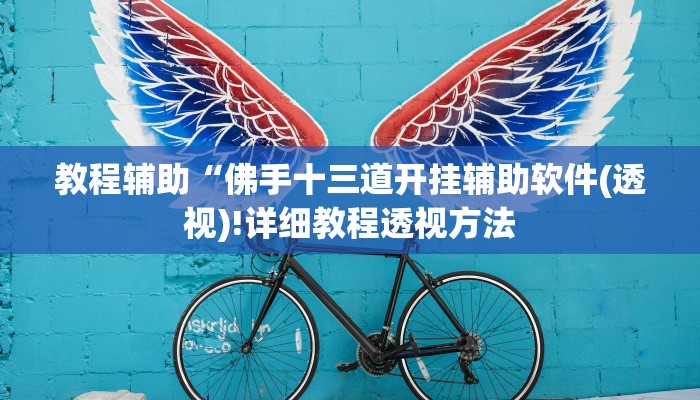 教程辅助“佛手十三道开挂辅助软件(透视)!详细教程透视方法