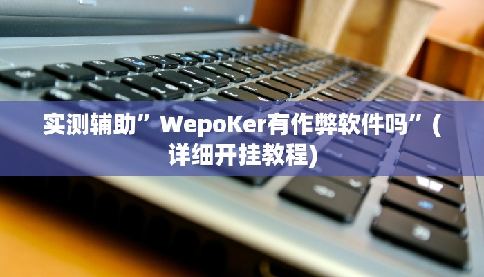 实测辅助”WepoKer有作弊软件吗”(详细开挂教程)