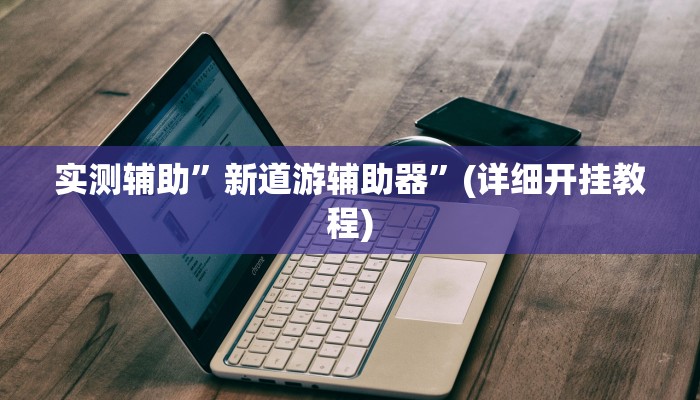 实测辅助”新道游辅助器”(详细开挂教程)