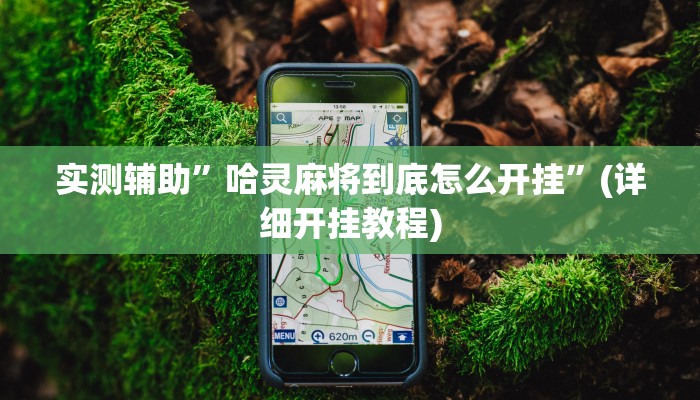 实测辅助”哈灵麻将到底怎么开挂”(详细开挂教程)