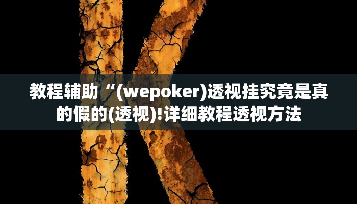 教程辅助“(wepoker)透视挂究竟是真的假的(透视)!详细教程透视方法
