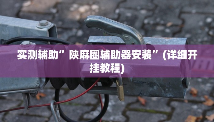 实测辅助”陕麻圈辅助器安装”(详细开挂教程)