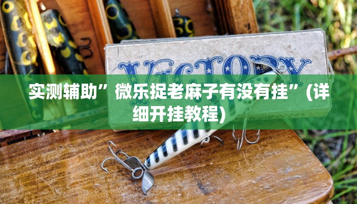 实测辅助”微乐捉老麻子有没有挂”(详细开挂教程)