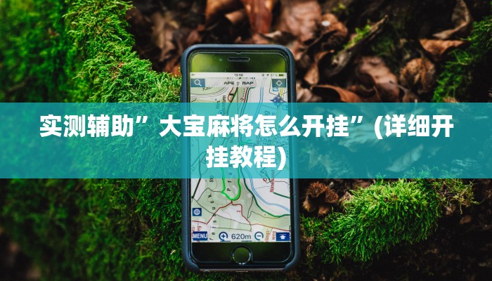 实测辅助”大宝麻将怎么开挂”(详细开挂教程)