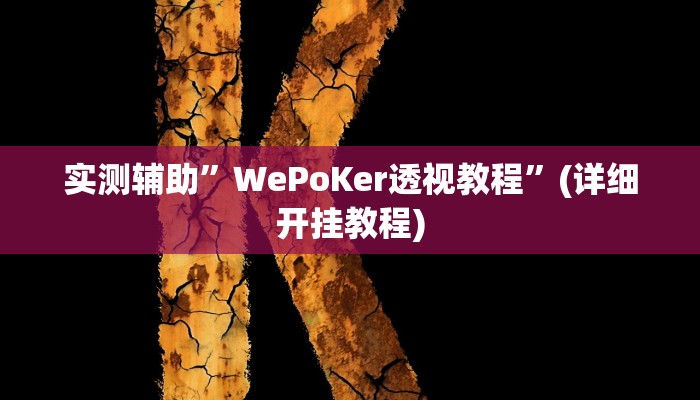 实测辅助”WePoKer透视教程”(详细开挂教程)