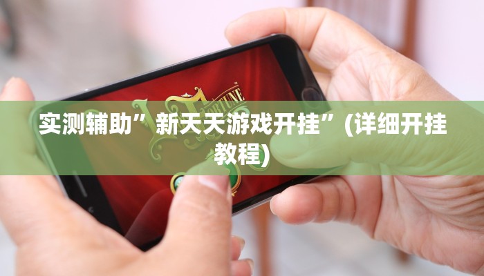 实测辅助”新天天游戏开挂”(详细开挂教程)