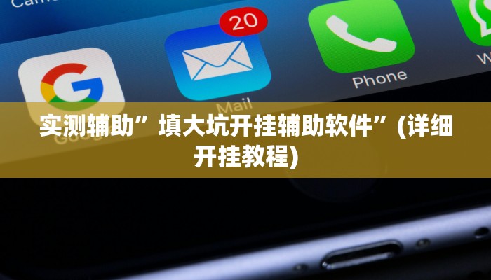 实测辅助”填大坑开挂辅助软件”(详细开挂教程)