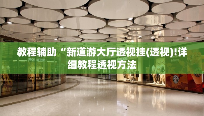 教程辅助“新道游大厅透视挂(透视)!详细教程透视方法