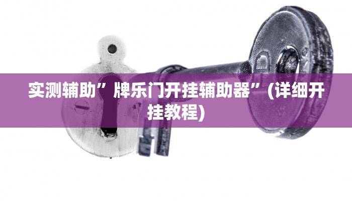 实测辅助”牌乐门开挂辅助器”(详细开挂教程)