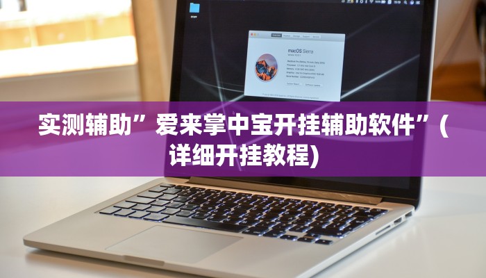 实测辅助”爱来掌中宝开挂辅助软件”(详细开挂教程)