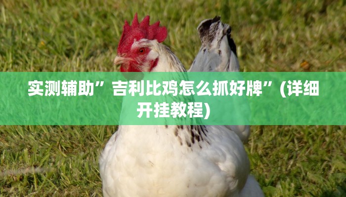 实测辅助”吉利比鸡怎么抓好牌”(详细开挂教程)