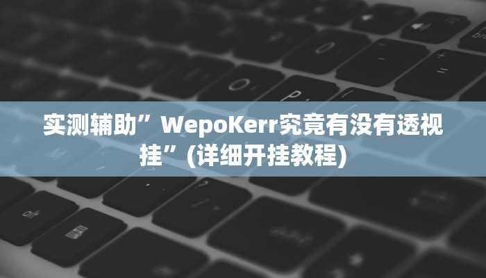 实测辅助”WepoKerr究竟有没有透视挂”(详细开挂教程)