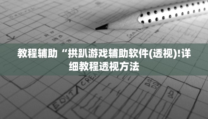 教程辅助“拱趴游戏辅助软件(透视)!详细教程透视方法