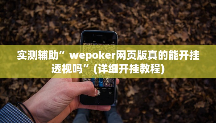 实测辅助”wepoker网页版真的能开挂透视吗”(详细开挂教程)