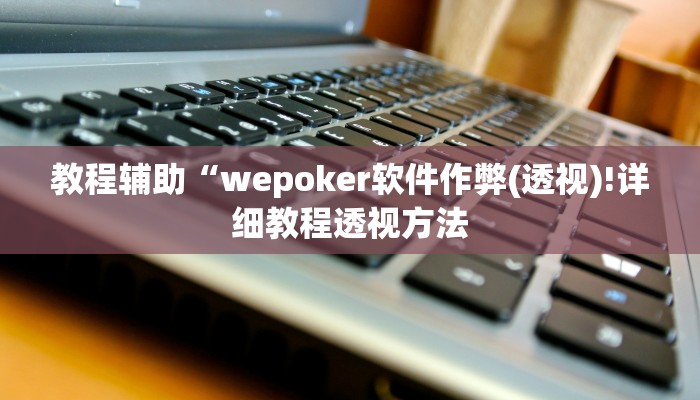 教程辅助“wepoker软件作弊(透视)!详细教程透视方法