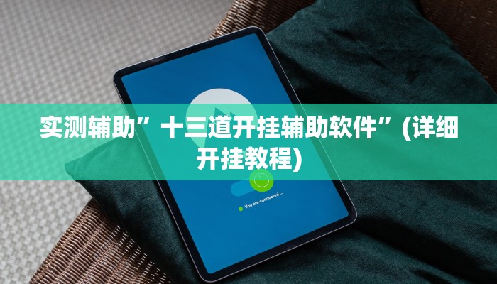 实测辅助”十三道开挂辅助软件”(详细开挂教程)