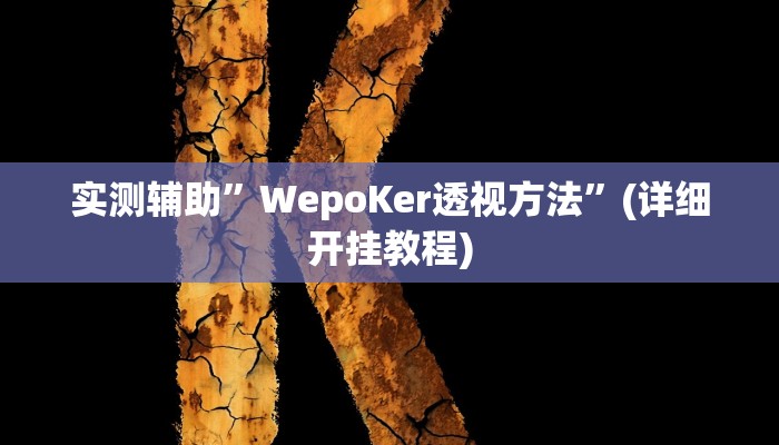 实测辅助”WepoKer透视方法”(详细开挂教程)