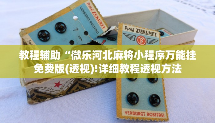 实测辅助”广西八一字牌挂怎么安装”(详细开挂教程)