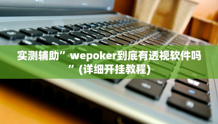 实测辅助”wepoker到底有透视软件吗”(详细开挂教程)