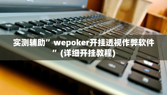 实测辅助”wepoker开挂透视作弊软件”(详细开挂教程)