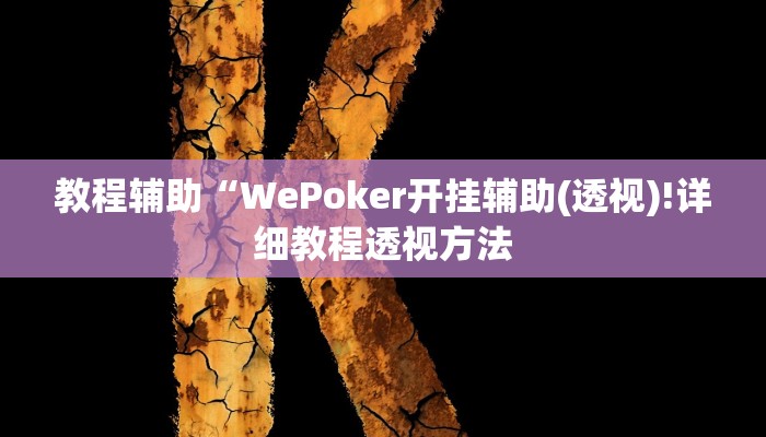 教程辅助“WePoker开挂辅助(透视)!详细教程透视方法
