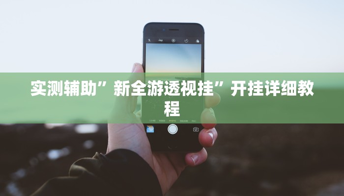 实测辅助”新全游透视挂”开挂详细教程