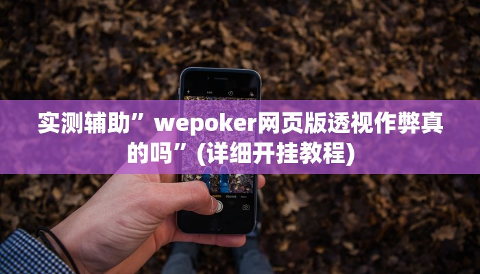 实测辅助”wepoker网页版透视作弊真的吗”(详细开挂教程)