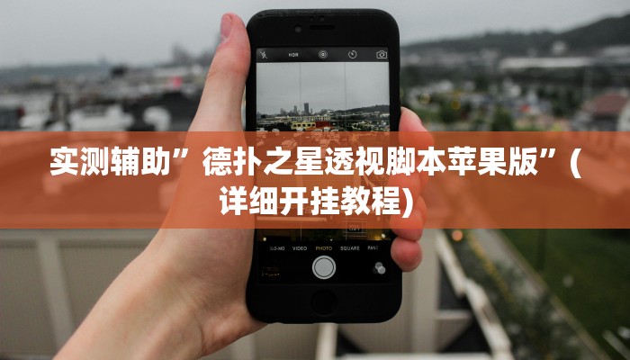实测辅助”德扑之星透视脚本苹果版”(详细开挂教程)