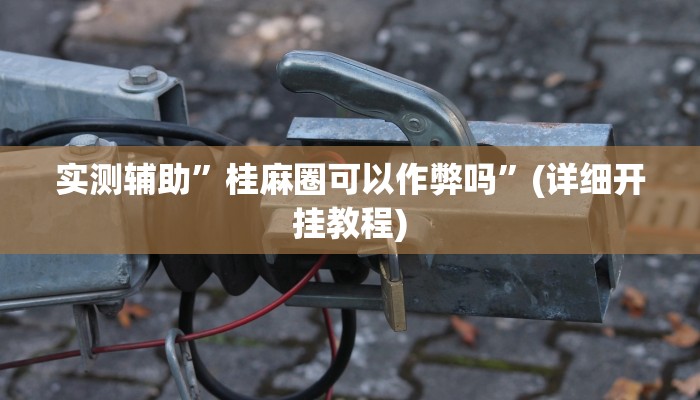 实测辅助”桂麻圈可以作弊吗”(详细开挂教程)