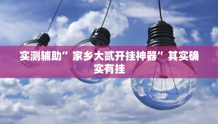 实测辅助”家乡大贰开挂神器”其实确实有挂