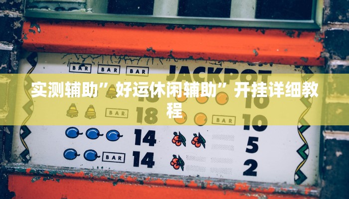 实测辅助”好运休闲辅助”开挂详细教程