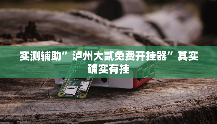 实测辅助”泸州大贰免费开挂器”其实确实有挂
