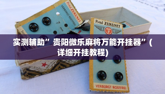 实测辅助”贵阳微乐麻将万能开挂器”(详细开挂教程)