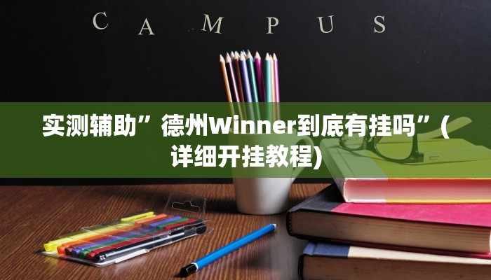 实测辅助”德州Winner到底有挂吗”(详细开挂教程)