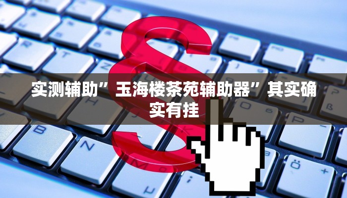 实测辅助”玉海楼茶苑辅助器”其实确实有挂