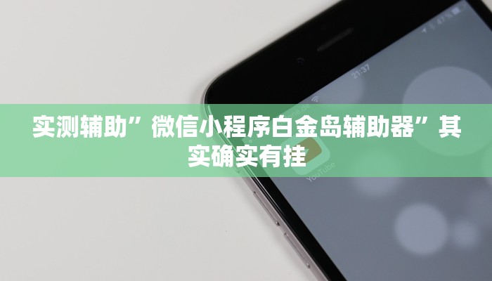 实测辅助”微信小程序白金岛辅助器”其实确实有挂