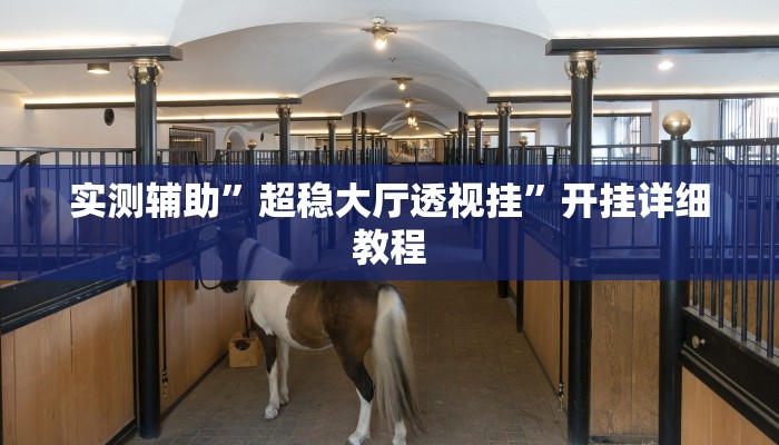 实测辅助”超稳大厅透视挂”开挂详细教程