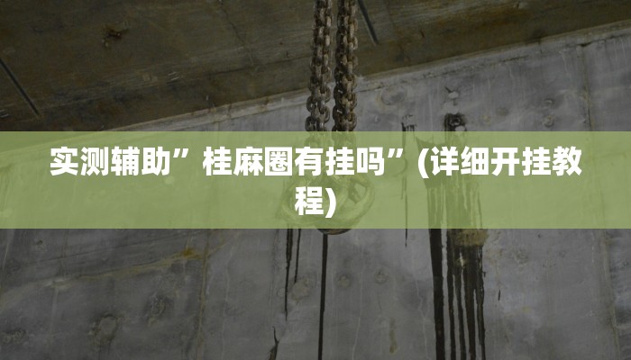 实测辅助”桂麻圈有挂吗”(详细开挂教程)