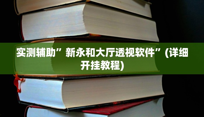 实测辅助”新永和大厅透视软件”(详细开挂教程)
