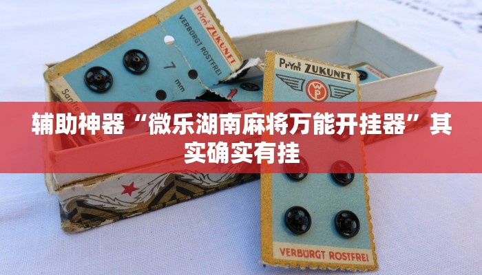 辅助神器“微乐湖南麻将万能开挂器”其实确实有挂