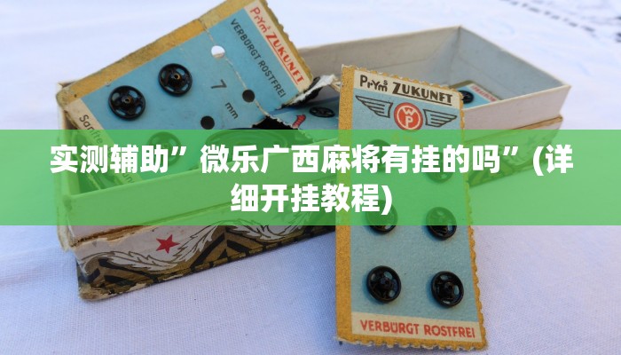 实测辅助”微乐广西麻将有挂的吗”(详细开挂教程)