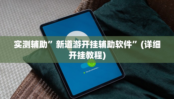实测辅助”新道游开挂辅助软件”(详细开挂教程)