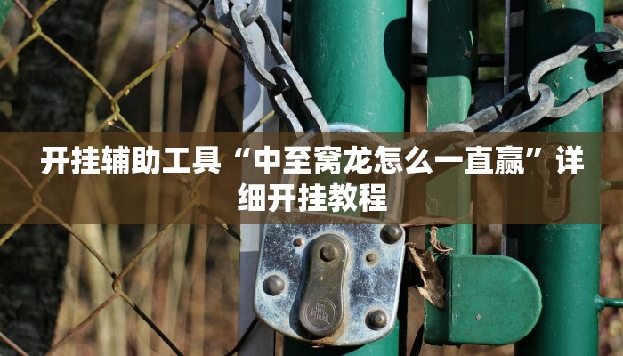 开挂辅助工具“中至窝龙怎么一直赢”详细开挂教程