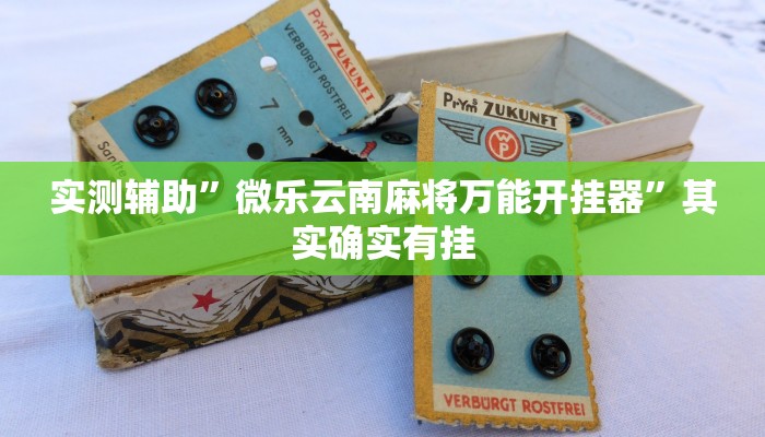 实测辅助”微乐云南麻将万能开挂器”其实确实有挂