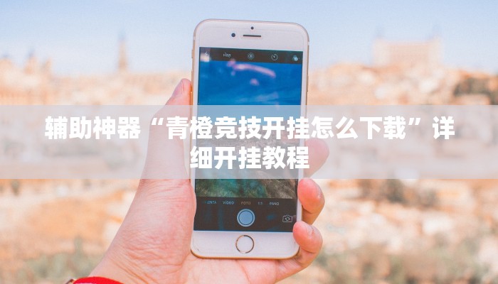 辅助神器“青橙竞技开挂怎么下载”详细开挂教程