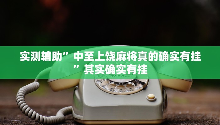实测辅助”中至上饶麻将真的确实有挂”其实确实有挂