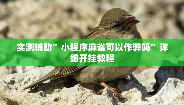 实测辅助”小程序麻雀可以作弊吗”详细开挂教程